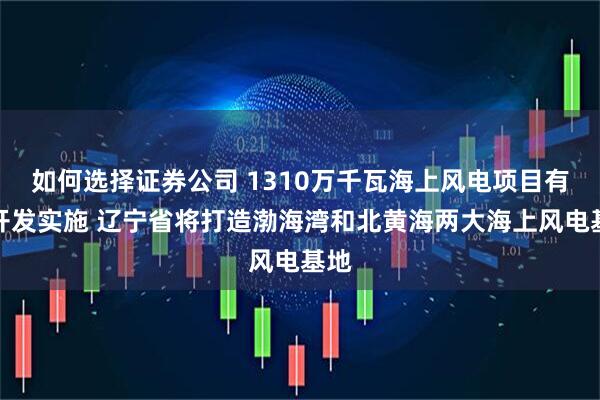 如何选择证券公司 1310万千瓦海上风电项目有序开发实施 辽宁省将打造渤海湾和北黄海两大海上风电基地